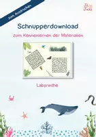 Vorschau - Spiele - Schnupperdownload Labyrinthe Tierische Freunde - Deckblatt