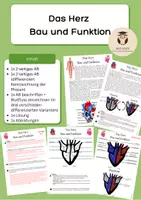 Vorschau - Arbeitsblätter - Das Herz: Aufbau und Funktionsweise; Systole / Diastole (differenziert) Reihe Blut Jg. 8-10 - Deckblatt