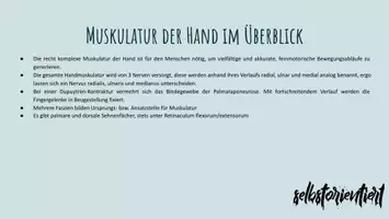 Vorschau - Präsentationen/Tafelbilder - Die Handmuskulatur unterrichten - Aufbau | Funktion | Schmerzen - Seite 1