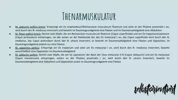 Vorschau - Präsentationen/Tafelbilder - Die Handmuskulatur unterrichten - Aufbau | Funktion | Schmerzen - Seite 2