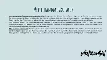 Vorschau - Präsentationen/Tafelbilder - Die Handmuskulatur unterrichten - Aufbau | Funktion | Schmerzen - Seite 3
