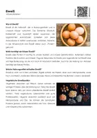 Vorschau - Arbeitsblätter - Eiweiß (Infotext und Übungen) - Deckblatt