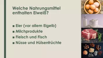 Vorschau - Präsentationen/Tafelbilder - Eiweiß (PP und H5P) - Seite 3