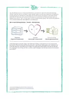 Vorschau - Stundenentwürfe - Toolbox Rassismus - Seite 3