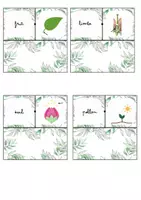 Vista previa - Juegos / Gamificación - Dòmino i daus plantes i ecosistemes - página 3