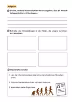 Vorschau - Arbeitsblätter - Die Entwicklung des Menschen - Seite 2