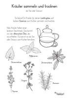 Vorschau - Arbeitsblätter - Kräuter sammeln und trocknen für Tee und Küchengewürze - Deckblatt