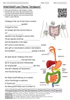 Vorschau - Arbeitsblätter - Arbeitsblatt "Verdauung" + Onlineübung & MP3 + Mindmap + Infografik + Infografik - Deckblatt