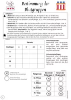 Vorschau - Stundenentwürfe - Materialpaket Blutgruppen: AB0 System, Landsteiner, Übung, Rhesusfaktor - Seite 2