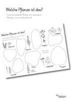 Vorschau - Arbeitsblätter - Kräutergarten - Dufträtsel - Welche Pflanze ist das? - Deckblatt