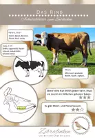 Vorschau - Arbeitsblätter - Das Rind, ein Nutztier - Deckblatt