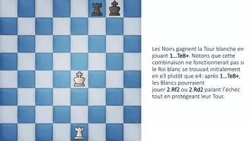 Aperçu - Jeux - l'Enfilade cours d'échecs Entraineur/Formateur B.BISSARO - Page 2