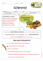 Vorschau - Arbeitsblätter - Gift in der Küche | Salmonellen | Schimmelpilze | Solanin - Seite 3