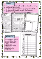 Vista previa - Unidades / Secuencias / Situaciones de Aprendizaje - Los animales / Els animals / Catalán - página 3