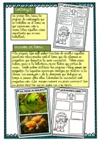 Vista previa - Unidades / Secuencias / Situaciones de Aprendizaje - Las plantas / Les plantes / Catalán - página 2