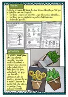 Vista previa - Unidades / Secuencias / Situaciones de Aprendizaje - Las plantas / Les plantes / Catalán - página 3