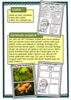 Vista previa - Unidades / Secuencias / Situaciones de Aprendizaje - Las plantas / Landareak Itzulpena / Euskera - página 2