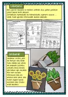 Vista previa - Unidades / Secuencias / Situaciones de Aprendizaje - Las plantas / Landareak Itzulpena / Euskera - página 3