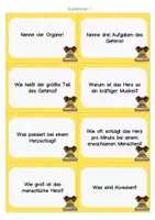 Vorschau - Stationenlernen - Organe - Quizkarten - Seite 2