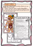 Vista previa - Unidades / Secuencias / Situaciones de Aprendizaje - Aparato digestivo / O aparato dixestivo / Gallego - página 3