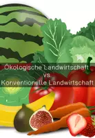 Vorschau - Arbeitsblätter - Ökologische Landwirtschaft vs. konventionelle Landwirtschaft - Deckblatt