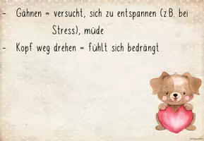 Vorschau - Arbeitsblätter - Körpersprache des Hundes - Seite 2
