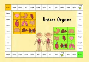 Vorschau - Spiele - Organe - Würfelspiel - Seite 2