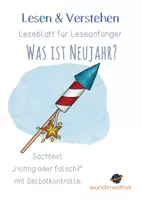 Vorschau - Arbeitsblätter - Winter - Neujahr - Sachtext - "richtig oder falsch" - Leseblatt mit Selbstkontrolle - Deckblatt