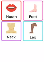 Vista previa - Tarjetas / Manipulativos - Flashcards parts of the body - página 1