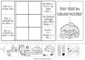 Vorschau - Arbeitsblätter - Der Igel im Winterschlaf | Flipbook | Sachunterricht - Seite 1