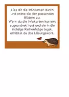 Vorschau - Bildkarten - Igel Zuordnung Infokarten und Bildkarten - Seite 2