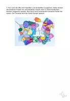 Vorschau - Mal- und Bastelvorlagen - Kunst Grundschule, Gestalte ein Buntes ABC-Bild, malen, schnelle Kunst - Seite 3