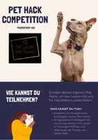 Vorschau - Stundenentwürfe - Mensch und Tier - Projekt: der Pet Hack - Seite 2