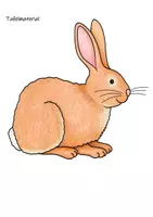 Vorschau - Spiele - Wettlauf Hase-Igel - Seite 2