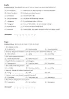 Vorschau - Arbeitsblätter - Allergien (Arbeitsblatt mit Erklärvideo) - Seite 1