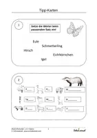 Vorschau - Arbeitsblätter - Wald Werkstatt 1./2. Klasse - Seite 3