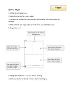 Vorschau - Arbeitsblätter - Grafiz Säugetiere und andere Wirbeltierklassen - Seite 2