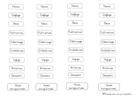 Vista previa - Juegos / Gamificación - Puzle cuerpo humano - página 2