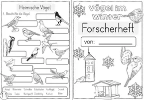 Vorschau - Unterrichtsreihen - Vögel im Winter - Wissenskartei und Forscherheft - Seite 2