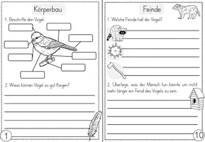 Vorschau - Unterrichtsreihen - Vögel im Winter - Wissenskartei und Forscherheft - Seite 3