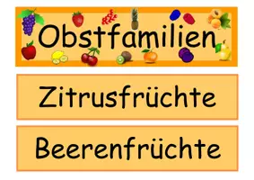 Vorschau - Bildkarten - Tafelmaterial Obstfamilien Obst - Seite 1