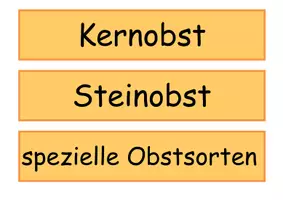 Vorschau - Bildkarten - Tafelmaterial Obstfamilien Obst - Seite 2