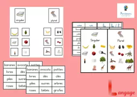 Aperçu - Cartes d'exercices - Grammaire - Singulier-pluriel - Page de couverture