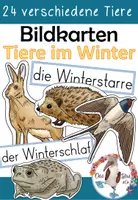 Vorschau - Präsentationen/Tafelbilder - Tiere im Winter - Bildkarten handgezeichnet in 2 Größen - Deckblatt