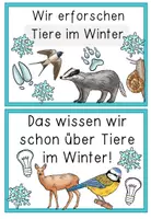 Vorschau - Poster - Tiere im Winter - Reihentransparenz für die Unterrichtseinheit - Seite 1