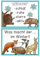 Vorschau - Poster - Tiere im Winter - Reihentransparenz für die Unterrichtseinheit - Seite 2