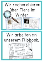 Vorschau - Poster - Tiere im Winter - Reihentransparenz für die Unterrichtseinheit - Seite 3