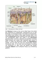 Vorschau - Anderer Materialtyp - BIOSTUNDE: Die Haut - das größte Sinnesorgan - Seite 2