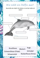 Vorschau - Arbeitsblätter - Delfin Themenheft🐬 - Seite 2