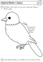 Vorschau - Unterrichtsreihen - Vögel im Winter - Lernwerkstatt mit Bastelvorlagen und Bildkarten - Seite 3